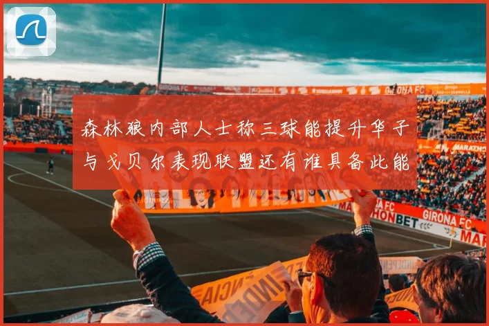 森林狼内部人士称三球能提升华子与戈贝尔表现联盟还有谁具备此能力